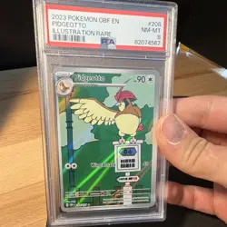 Pokemon Pidgeotto SV03 Obsidian Flames 208/197 Illustration Rare Holo PSA 8 - Image 5