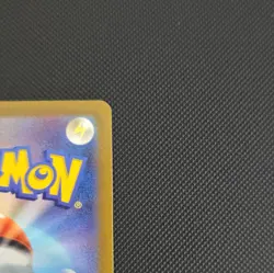 Raikou V 218/172 S12a VSTAR Universe 2022 Japanese SAR Special Art Rare Holo - Image 4