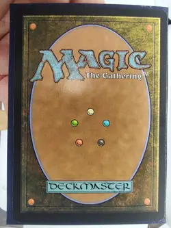 Snow-Covered Forest 155/155 Foil Coldsnap NM Small Seller ✉ Fast Free Shipping! - Image 3