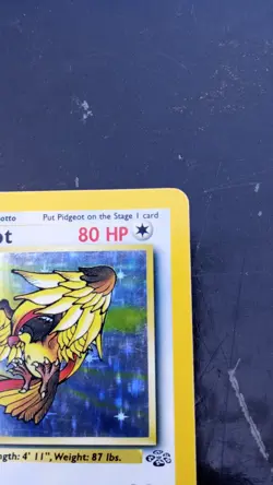 Pokemon TCG Pidgeot Jungle 8/64 Holo Rare MP Vintage - Image 3