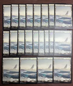 MTG Modern Horizons non foil Full Art SNOW-COVERED PLAINS x21 - Image 1