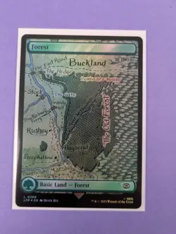 MTG: The Lord of the Rings: Tales of Middle-earth: Forest Foil #0280 Land - NM - Image 1