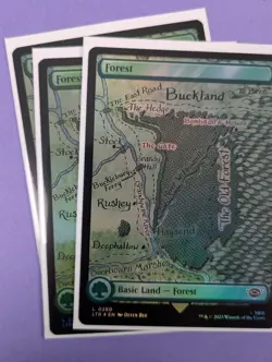 MTG: The Lord of the Rings: Tales of Middle-earth: Forest Foil #0280 Land - NM - Image 2