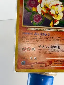 Pokemon TCG Light Arcanine Holo Card #59 Neo Destiny Japanese With Swirl - Image 5