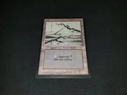 MTG 1x Revised basic land LP Italian FBB Swamp (Two branches) - ships w/ trackin - Image 1