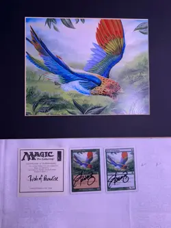 Magic: The Gathering Birds of Paradise 2 Cards Hard Signed Beard Jr COA Framed - Image 2