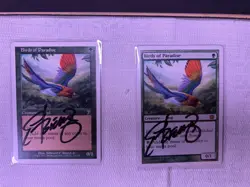 Magic: The Gathering Birds of Paradise 2 Cards Hard Signed Beard Jr COA Framed - Image 4