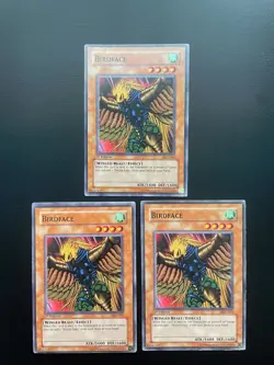 Yugioh Birdface PGD-005 Common 1st Edition HP X3 - Image 1
