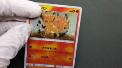 Vulpix Crystal Season Special Box Promo 146/SM-P LP Holo Japanese Pokemon Card - Image 2