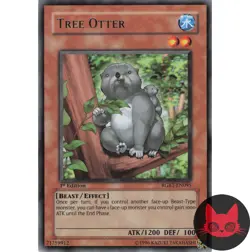 Yugioh Tree Otter RGBT-EN095 Rare 1st Edition NM - Image 1
