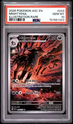 PSA 10 Mightyena IR 243/217 Ascended Heroes Illustration Rare Pokemon - Image 1
