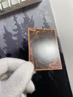 Yu-Gi-Oh Red-Eyes B. Dragon Secret Rare 2002 Collectors Tin BPT-005 LimitedEd LP - Image 5