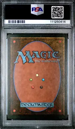 Magic the Gathering - Ice Age Adarkar Wastes 1995 PSA 8 - Image 2