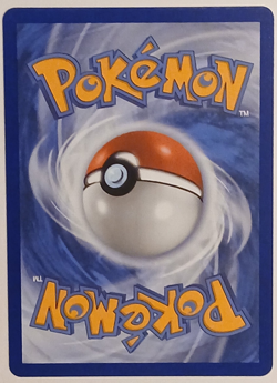 Pokemon TCG First Partner Card - Turtwig 040 Black Star Promo MEP - Near Mint - Image 2