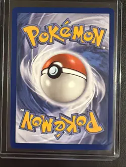 Litten 044 Holo Promo ME: Mega Evolution Promo Pokemon Near Mint - Image 2
