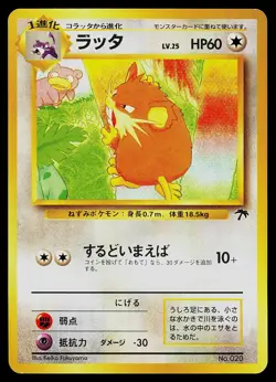 Pokemon Card - Raticate Southern Islands NO. 020 Promo Japanese - Image 1