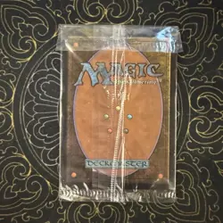 Swamp 539/ 119 Seb Mckinnon - Secret Lair Magic the Gathering SEALED - Image 2