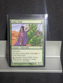Tinder Wall X1 LP Coldsnap Reprints MTG - Image 1