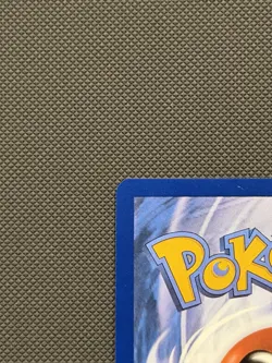 Pokemon TCG Squirtle 148/142 Sv07 Stellar Crown Holo Illustration Rare 2024 - Image 3