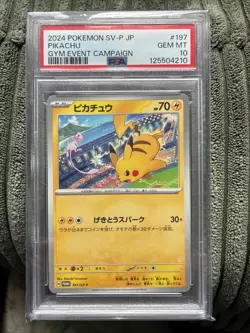 PSA 10 Pikachu 197/SV-P Promo Gym Event Campaign Pokemon Card Japanese 2024 GM - Image 2