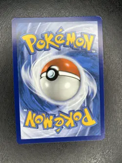 Skwovet - 205/091 - Pokemon Paldean Fates Shiny Rare Card NM - Image 2