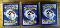 Pokemon First Partner Series 1 Promo Set Puplip Chimchar Turtwig Sinnoh Starters - Image 2