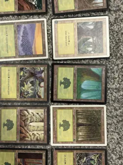 Magic the Gathering MTG Forest Land Collection - Basic Lands - Image 2