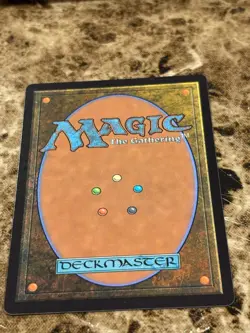 SHIVAN REEF Magic MTG Dominaria United Borderless - Image 2