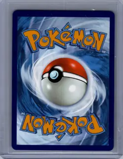 Pokemon TCG Mega Evolution Mega Kangaskhan #164 Full Art - Image 2