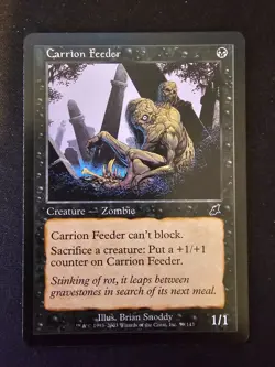 Carrion Feeder 59/143 - Scourge - Magic: The Gathering - (LP) - Image 1