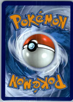 Phanpy 205/191 Illustration Rare Surging Sparks Pokemon Near Mint - Image 2
