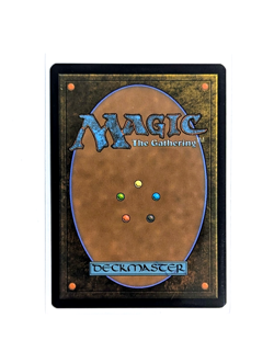 Sunken Citadel R 0041 Borderless REGULAR MTG Edge Of Eternities EOS EN NM/M - Image 2