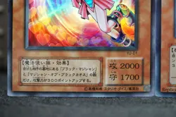 Yu-Gi-Oh Dark Magician Girl 2 Cards Set YU-01 Super LE5-002 Ultra Japanese OCG - Image 4