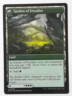Disciple of Freyalise - NM Near Mint - MH3 Modern Horizons 3 #250 - MTG Magic - Image 2