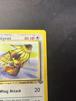 Pidgeot 24/64 1st Edition Jungle Set Pokemon Card WOTC Vintage Non Holo Rare - Image 4
