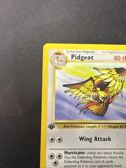 Pidgeot 24/64 1st Edition Jungle Set Pokemon Card WOTC Vintage Non Holo Rare - Image 5