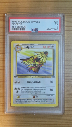 The Pokemon Company 1999 Jungle Pidgeot 24/64 Regular 1st Edition PSA 5 - Image 1