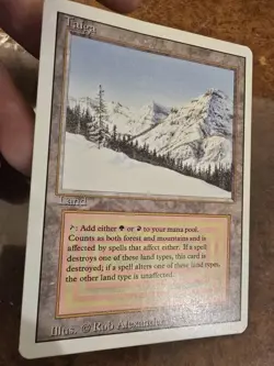 Revised TAIGA - MtG - Lightly played / very good condition - Image 1