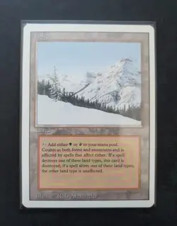 Revised TAIGA - MtG - Lightly played / very good condition - Image 4
