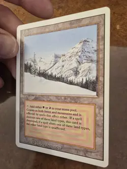 Revised TAIGA - MtG - Lightly played / very good condition - Image 5