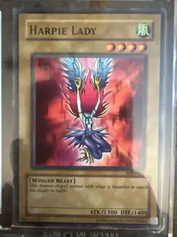 Harpie Lady (Original Artwork) MRD-008 Metal Raiders Unlimited - Image 1