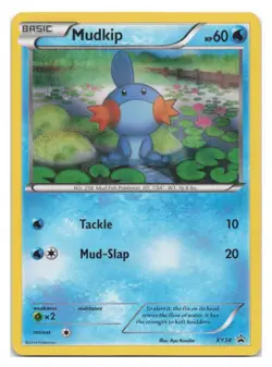 Pokemon TCG Mudkip XY38 XY Black Star Promos Holo MP - Image 1