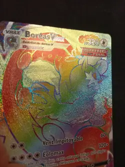 Carte Pokemon Boreas Vmax 209/198 Regne De Glace - Image 2