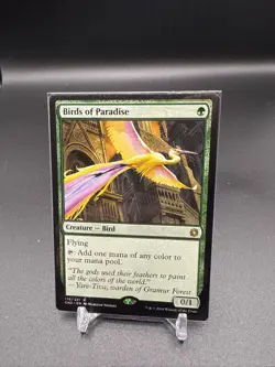 Birds of Paradise Conspiracy: Take the Crown Regular MTG - Image 1