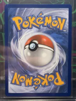 Pokemon TCG Mightyena 243/217 Paldean Fates Shiny Rare Holo ENG Stage 1 - Image 2