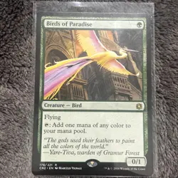 Magic: The Gathering Birds of Paradise Card M12 LP - Image 1