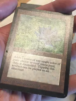 Black Lotus MTG Collectors’ Edition - Image 3