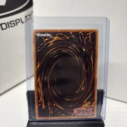 Graceful Charity SDP-040 Starter Deck: Pegasus 1st Edition Holo NM - Image 2