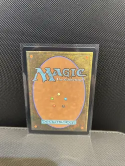 Concealed Courtyard BORDERLESS R 0302 Magic The Gathering - Image 2