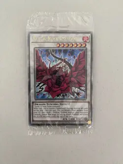 Yugioh Black Rose Dragon TN23-EN014 Quarter Century Secret Rare NM (SEALED) - Image 1
